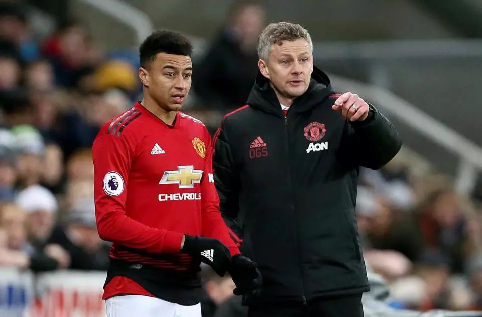 在复杂的球 在复杂的球